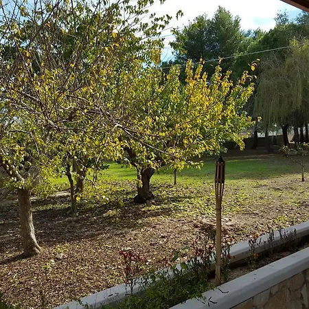 Dei Fichi Matino