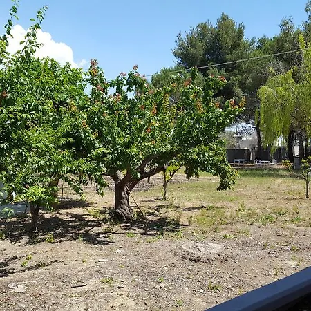 Dei Fichi דירה *